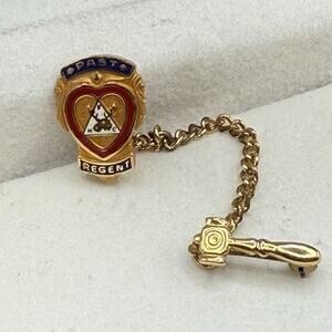 Vintage F.M.C. Past Regent Pin 1/10 10K GF Enamel Fraternal Chain